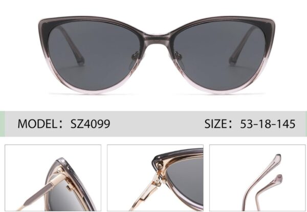 SZ 4099  54-18-145 HL CLIP 3008 - Image 2